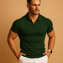 Heren poloshirt met V-hals, slanke pasvorm en korte mouwen, stijlvol casual design met ribboordweefsel en reverskraag.
